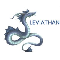 Leviathan Consulting Limited Logo