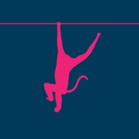 Silver Monkey Marketing Ltd Logo