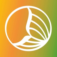 Kzulo Propaganda Logo