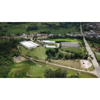 RAYZA Tapetes & Linhas Ltda. Logo