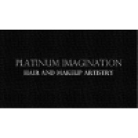 Platinum Imagination Hair and Makeup Logo