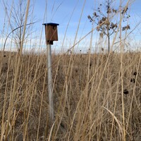 Mequon Nature Preserve Logo