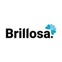 Brillosa Limpiezas Logo