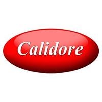 Calidore Computer Systems Logo