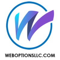 Web Options LLC Logo
