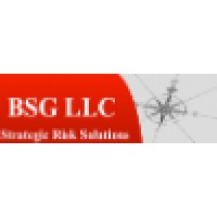BSG LLC Logo