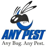 Any Pest Inc. Logo