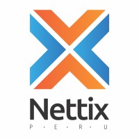 Nettix Perú Logo