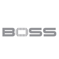 BLUE OCEAN SOLUTIONS & SERVICES PRIVATE LIMITED Logo