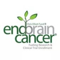 The EndBrainCancer Initiative - (The Chris Elliott Fund) Logo