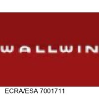 Wallwin Electric Services Ltd. Logo