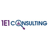 1E1 Consulting Logo