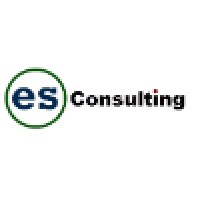 ES Consulting Inc. Logo