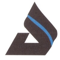 Anjaney Ferro Alloys Ltd Logo