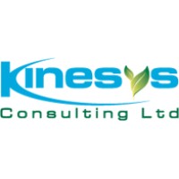 Kinesys Consulting Ltd Logo