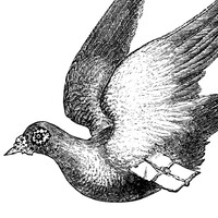 The Paper Compass Logo
