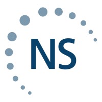 Nelson Schmidt Inc. Logo