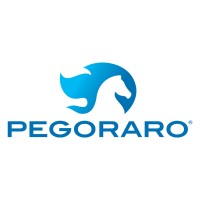 PEGORARO GAS TECHNOLOGIES SRL Logo