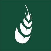 AVEPA - Agenzia veneta per i pagamenti Logo