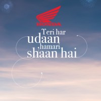 PAHADIYA COMMERCIAL LIMITED Logo