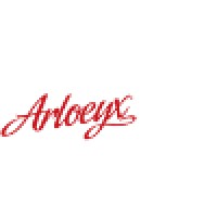 Arloeyx Transportes y Servicios Integrales S.R.L. Logo