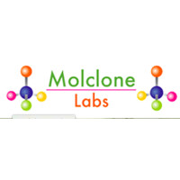 MOLCLONE LABS PRIVATE LIMITED Logo
