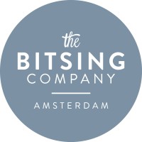 The Bitsing Company - Frans de Groot Logo