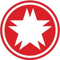The Mann Group Logo