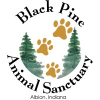 Black Pine Animal Sanctuary Logo