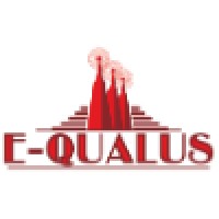 E-Qualus Partners, LLC Logo