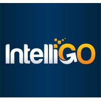 IntelliGO Networks Inc Logo