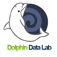 Dolphin Data Lab Logo