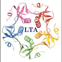 LETS TALK ACADEMY Logo