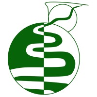 China Plains Consulting Logo