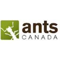AntsCanada Logo