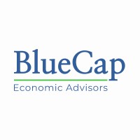 BlueCap Economic Advisors, LLC Logo