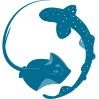 Sharklab ADRIA: Center for marine and freshwater biology Logo