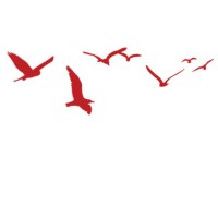 Crimson Creative Group Logo