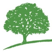 Ranmore Fund Management Ltd Logo