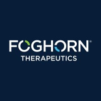 Foghorn Therapeutics Inc. Logo