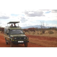 Nemm Tours and Safaris Ltd Logo