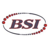 Boiler Services & Inspection, LLC Logo