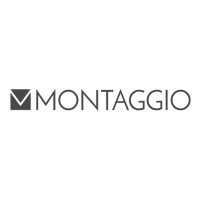 Montaggio Logo