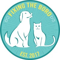 Fixing The Boro Logo