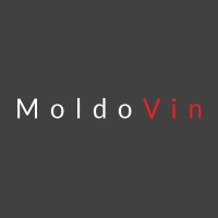 MoldoVin Logo