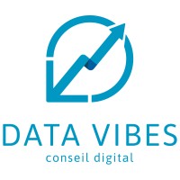 Data Vibes Logo