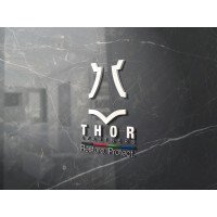 Thor and Partners Inc Logo
