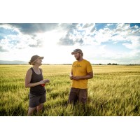 Root Shoot Malting Logo