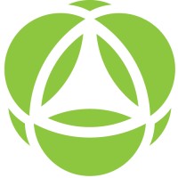 Next Element Logo