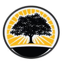 Austin Outdoor Lighting Design Logo